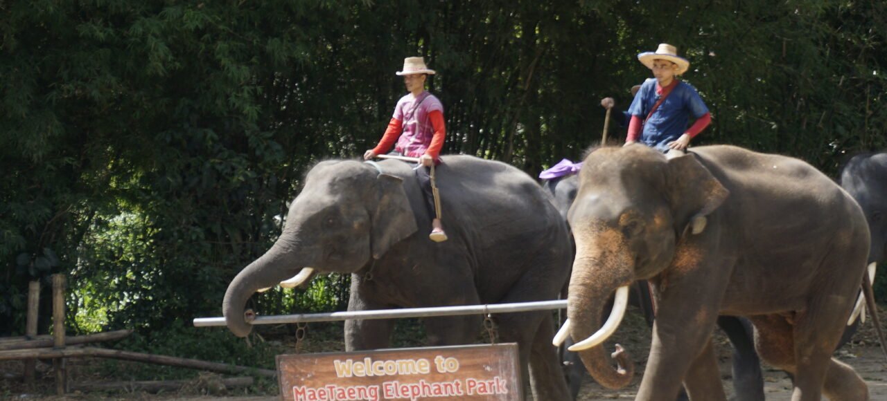 Thailand Chiang Mai Tour