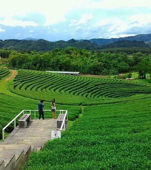 Thailand Chiang Mai Tour